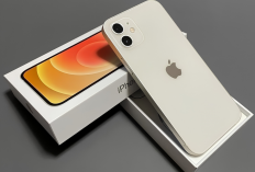 Bingung Pilih iPhone? Ini Daftar iPhone 11 sampai iPhone 17 Lengkap dengan Spesifikasinya
