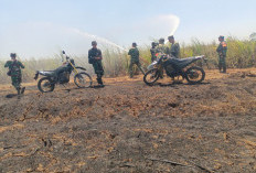 TNI Bersama Warga dan Damkar Padamkan Kebakaran 5 Hektare Lahan Tebu di Indramayu