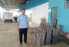 Gaji Pegawai SPPG di Indramayu Capai Rp3,5 Juta, Cerita Yusuf Sempat Ikut Bank Keliling Lalu Nganggur