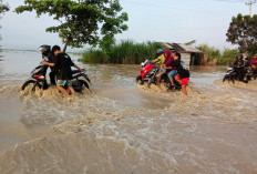 Banjir Terjang Wilayah Pesisir Cirebon Pagi Ini, Arus Lalu Lintas Pantura Macet Parah