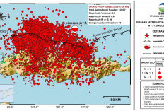 Gempa Susulan Flores Tembus 10.937 Kali, BMKG Catat Magnitudo Terbesar 6,2