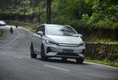 Diproduksi di Subang, TKDN Mobil Listrik BYD M6 Capai Lebih dari 40 Persen, Apakah Bisa Dapat Subsidi?