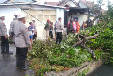 Angin Kencang Terjang Desa Muara Cirebon, Puluhan Rumah dan Sekolah Terdampak