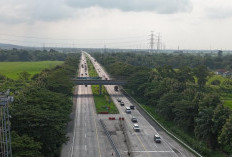 Update Tol Cipali 15 Maret 2026: 40 Ribu Kendaraan Mengarah ke Cirebon, Lalu Lintas Ramai Lancar