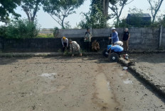 131 Hektare Sawah di Cirebon Sudah Terapkan PMAAS