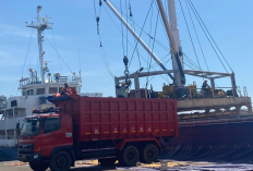 Pelabuhan Cirebon Sekarang Makin Tertib dan Modern, Sistem STID Bikin Truk Ilegal Tak Bisa Masuk