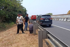 Polisi Sisir Tol Palikanci Usai Bus The Jakmania Dilempari Batu, Pelaku Diduga Lebih dari Lima Orang