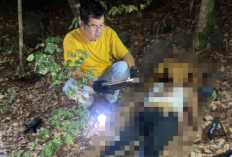 Jasad Pria Asal Cirebon Ditemukan di Hutan TNGC Kuningan, Luka di Wajah dan Kepala