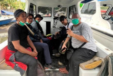 Lima Jurnalis Hilang Kontak Saat Liputan Erupsi Gunung Anak Krakatau, Basarnas Cari di Selat Sunda