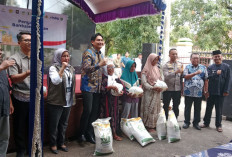 Pastikan Tepat Sasaran, Lucky Hakim Tinjau Penyaluran Banpang di Kecamatan Widasari