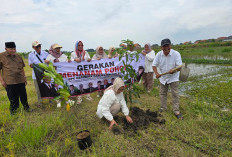 Tanam Ratusan Pohon, Gerindra Dorong Aksi Nyata Jaga Lingkungan 