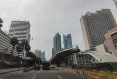 TransJakarta Benchmark Pengembangan BRT Trans Cirebon