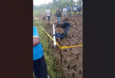 Petani di Kuningan Ditemukan Tewas di Sawah, Begini Fakta Lengkapnya