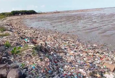 Pesisir Cirebon Kembali Kumuh, Sampah Kiriman dan Ulah Warga Jadi Sorotan