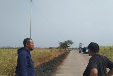 Miris! Empat Hektare Tebu Penggarap di Kertajati Rusak, Kerugian Capai Rp300 Juta