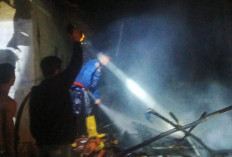 Rumah dan 8 Ekor Kambing Milik Warga Pesawahan Cirebon Ludes Terbakar, Kerugian Capai Puluhan Juta 