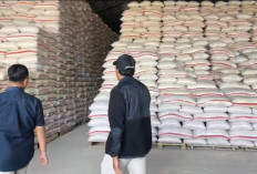 Bantuan Beras Dijual Lagi? Bulog Cirebon Siap Laporkan Penerima yang Terbukti Menyalahgunakan