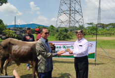Pemkab Cirebon Apresiasi Cirebon Power, Dari Kurban hingga Vokasi untuk Warga