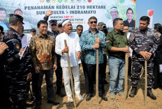Penanaman Kedelai 210 Hektare di Indramayu Resmi Dimulai, Targetkan Indonesia Bebas Impor