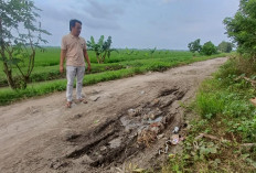 Jalan Kapetakan-Gegesik Cirebon Rusak Parah, DPRD Minta Pemda Segera Bertindak