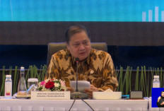 Selain Australia, Pemerintah Sebut Filipina dan India Minati Pupuk Urea Asal Indonesia