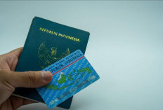 Tarif Naturalisasi dan Pelepasan Kewarganegaraan Naik, Ini Penjelasan Lengkap Pemerintah