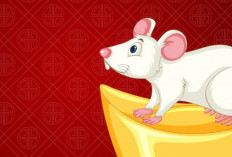 Shio Tikus 2026: Tips Kaya, Sukses, dan Bahagia Sepanjang Tahun