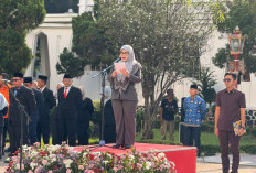 Hari Otonomi Daerah Momentum Peningkatan Tata Kelola dan Kesiapsiagaan Sosial