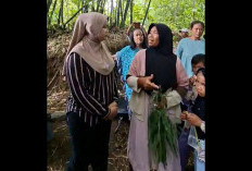 Fakta Mengejutkan di Balik Sawit Cigobang, Ketua DPRD Cirebon Ungkap Ancaman Serius