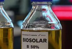 Resmi Diluncurkan! Prabowo Berlakukan Biodiesel B50 untuk Kurangi Impor BBM