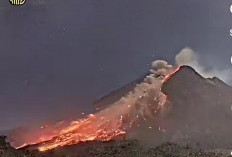 Gunung Merapi Kembali Luncurkan Awan Panas Guguran Sejauh 2 Kilometer