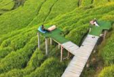 Wisata Murah di Majalengka: Destinasi Hits 2025 yang Bikin Liburan Hemat Tanpa Ribet!