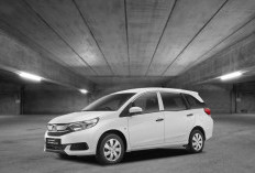 Jangan Salah Pilih! Ini 5 Mobil MPV Bekas yang Masih Worth It Dibeli di Tahun 2026