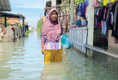 Solusi Permanen dari KDM: 200 Rumah Terdampak Rob di Eretan Indramayu Akan Direlokasi 