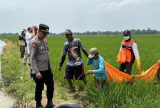 Mayat Pria Membusuk Ditemukan di Sawah Majalengka, Polisi Selidiki Penyebab Kematian