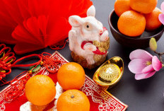 Pantangan Shio Tikus 2026 Terungkap: Salah Langkah Bisa Picu Masalah Finansial dan Asmara