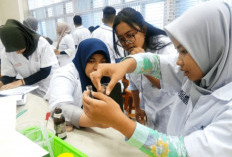 Pemerintah Siapkan 1.000 Beasiswa Dokter Spesialis 2026, Ini Bidang yang Diprioritaskan