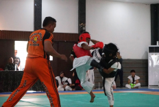 Atlet Tarung Derajat Kota Cirebon Mulai Panaskan Mesin, Target Prestasi Tinggi di Porprov XV