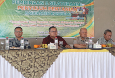 Kuningan Swasembada Beras, Pemkab Tegas ke Penyuluh Pertanian