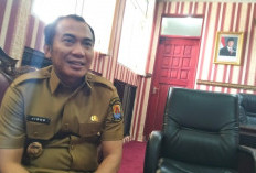 Banjir Sumber Bisa Terulang Setiap Tahun? Ini Tindakan Pemkab Cirebon untuk Sabuk Hijau