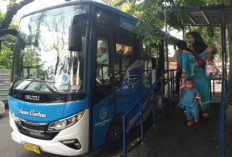 31 Desember 2025 Jadi Hari Terakhir Operasional BRT Trans Cirebon, Begini Alasannya 