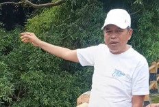 Tanpa Agenda Resmi, Gubernur Jabar ke Kota Cirebon, Sejumlah Titik Banjir Disidak