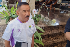 Persib 'Meledak' di Bursa Transfer, Umuh Muchtar Janjikan Kejutan Berikutnya