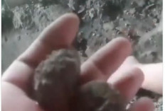 Angka Gandir di Gunungkidul Sangat Tingggi, Konon Terkait dengan Mitos Pulung Gantung dan Gelu