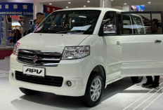 Harga Mobil Suzuki APV Bekas Terbaru Mulai Rp50 Jutaan, Kenali Dulu Perbedaan GL, GX, SGX, hingga Luxury