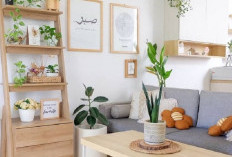 Bikin Rumah Terlihat Lebih Mahal, Ini 7 Tanaman Minimalis untuk Hiasan dengan Pot yang Wajib Dicoba