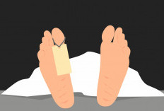 Mahasiswi Meninggal Usai Minum Obat Aborsi, Polisi Tetapkan 5 Tersangka, 1 Masih Buron