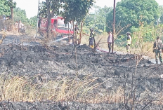 Kebakaran di Kuningan Hanguskan 2.100 Meter Persegi Lahan, Diduga Dipicu Pembakaran Sampah