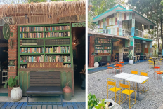 Rekomendasi 5 Kedai Kopi Hidden Gem Kuningan, Ada View Alam dan Hutan Pinus