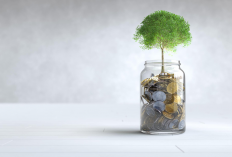Gaji UMR Bukan Halangan, Ini Tips Investasi Reksadana untuk Pemula yang Wajib Dicoba